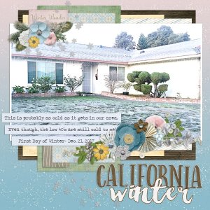 Jan Brush Challenge