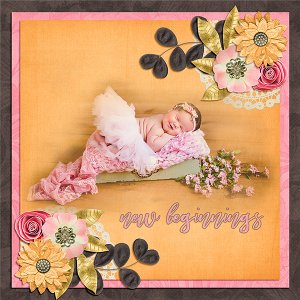 New Beginings