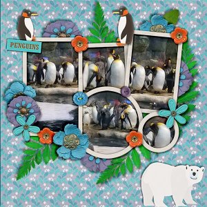looking at the penguins