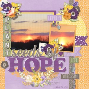 Plant Seeds of Hope