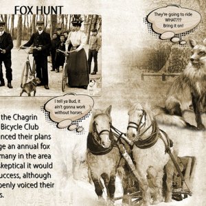 FOX HUNT