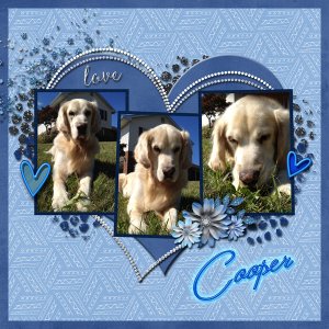 Remembering My Best Friend