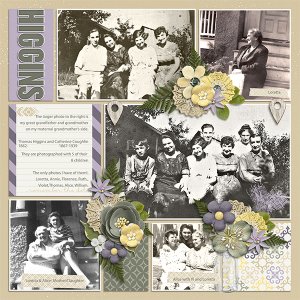 Higgins/Fulkrod Heritage L