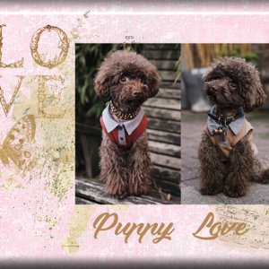 Puppy Love