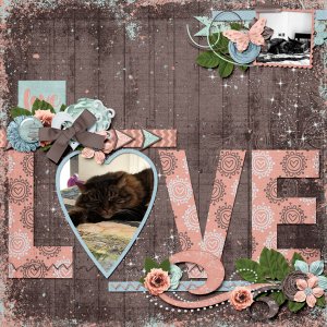 Kitty Love