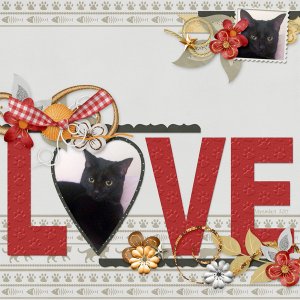 Love