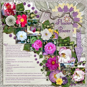 Flower Power