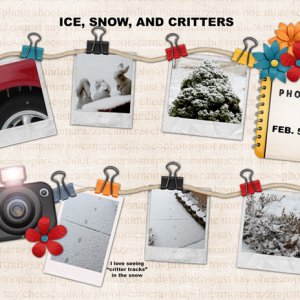 Ice, Snow, and Critters
