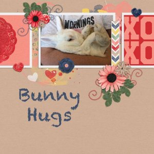 Bunny Hugs