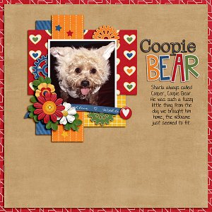 Coopie Bear