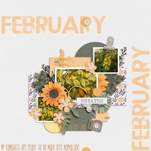 Kumquats February 2018