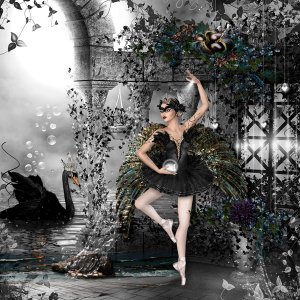 Black Swan