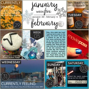 P52 Week 5 2018