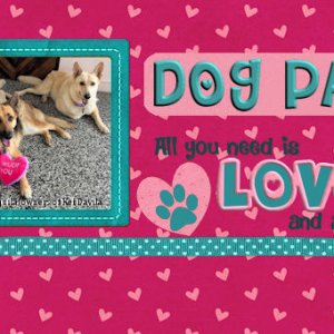 Dog Paws banner