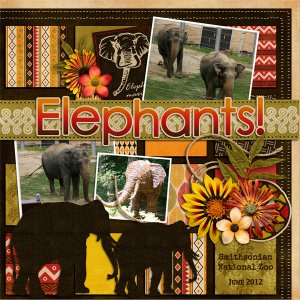 Elephants!