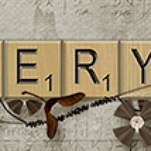 Meryl_01_500x107