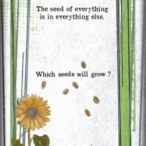 Which Seeds Will Grow?