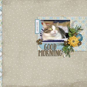 good morning