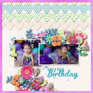Lily's First Birthday