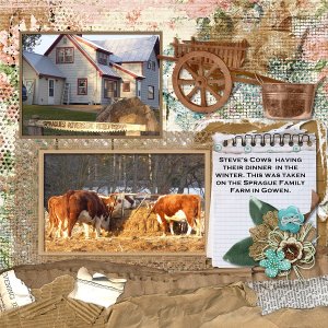 CT_Laura_Burger_2018_Box_Top_Set_2_Boarders_with_LB_Kit_Country_Chic_-_600_