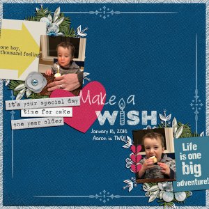Make a Wish