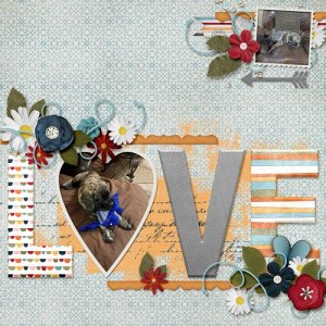 Love_this_Tibbie