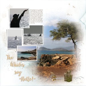 Hawaii Album 05