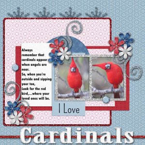 I Love Cardinals