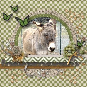 Platero the Burro