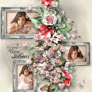 Your time to bloom