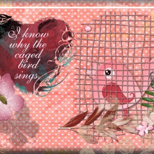 I Know Why the Caged Bird Sings