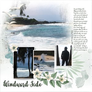 Hawaii Page 09