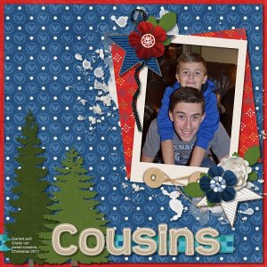 Cousins