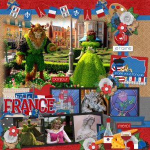 Passport to France