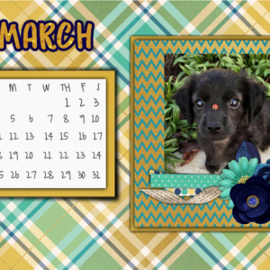 February Desktop challenge 2018
