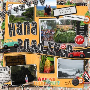 our hana road trip