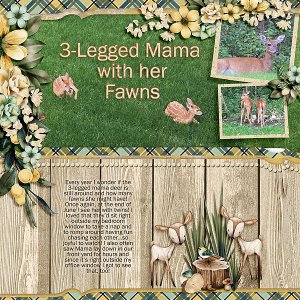 2018-3-legMamaTwins