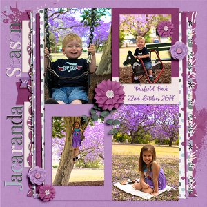 Jacaranda Season