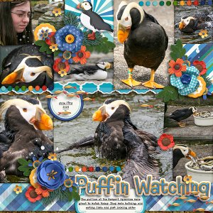 2014 Newport Aquarium Puffins