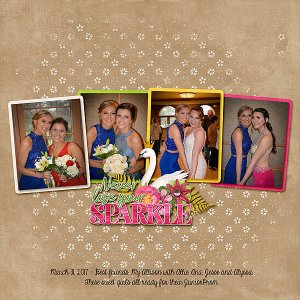 2017_3_32_allie_n_friends_prom_web