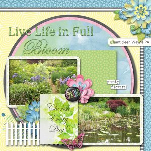 Live Life in Full Bloom