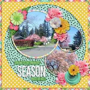 Spring-is-my-Favorite-Season