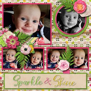 Sparkle + Shine