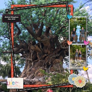 Animal Kingdom
