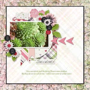 Feb Designer Spotlight-Neverland