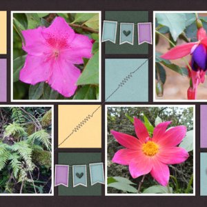 Gardens 4