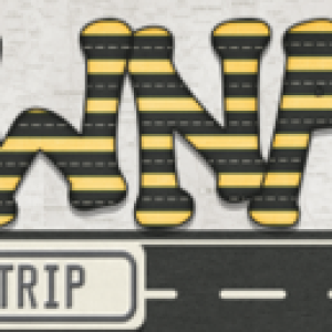 Road Trip Siggy