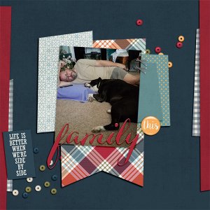 feb 2018 Inspiration challenge