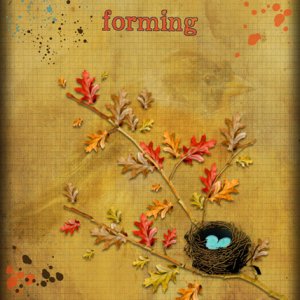 ATC 2018-031 Forming