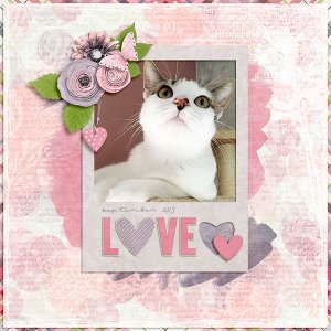 love
